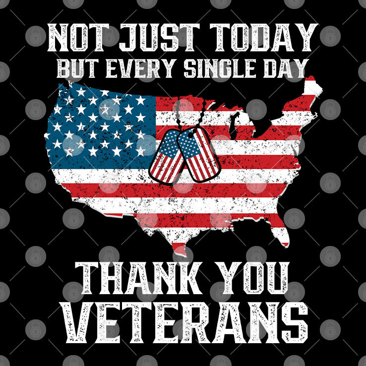 Not Just Today But Every Single Day Thank You Veterans Shirt