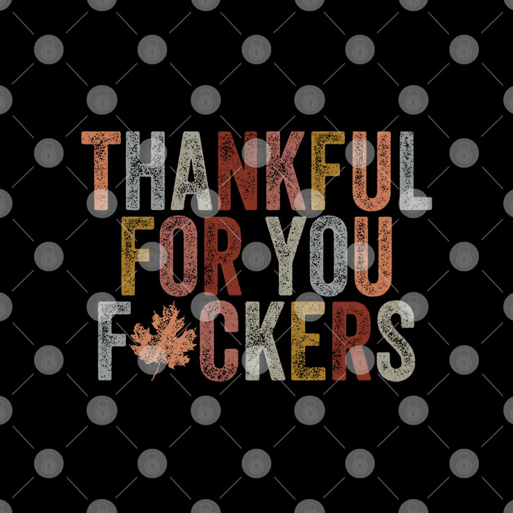 Thankful For You Fuckers T Shirt