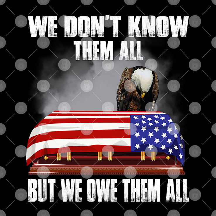 We Don't Know Them All But We Own Them All Veteran Shirt